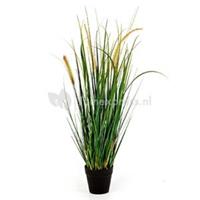 plantenwinkel.nl Kunstplant Foxtail wild grass M