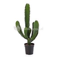 plantenwinkel.nl Kunstplant Finger cactus S