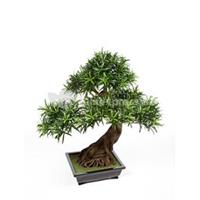 plantenwinkel.nl Kunstplant Podocarpus bonsai L