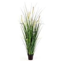 plantenwinkel.nl Kunstplant Foxtail wild grass XL