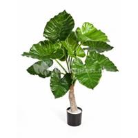 plantenwinkel.nl Kunstplant Alocasia calidora S