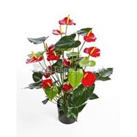 plantenwinkel.nl Kunstplant Anthurium red