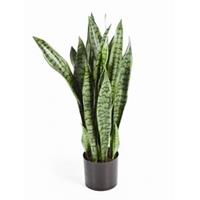 plantenwinkel.nl Kunstplant Sansevieria M