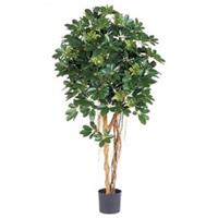 plantenwinkel.nl Kunstplant Schefflera arboricola M