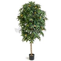 plantenwinkel.nl Kunstplant Citrus mandarine M