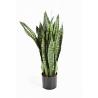 plantenwinkel.nl Kunstplant Sansevieria L