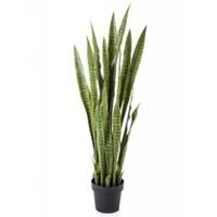 plantenwinkel.nl Kunstplant Sansevieria XL