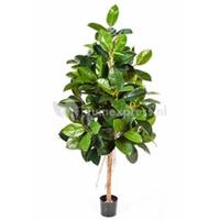 plantenwinkel.nl Kunstplant Ficus elastica L