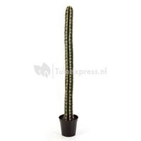 plantenwinkel.nl Kunstplant Cactus straight L