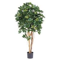 plantenwinkel.nl Kunstplant Schefflera arboricola XL