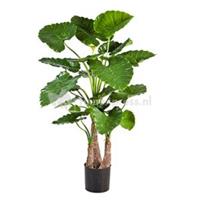 plantenwinkel.nl Kunstplant Alocasia calidora L