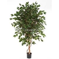 plantenwinkel.nl Kunstplant Ficus exotica de luxe L