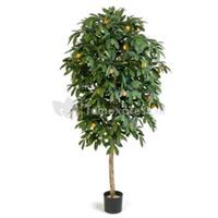 plantenwinkel.nl Kunstplant Citrus mandarine XL