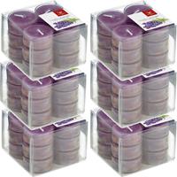 Trend Candles 72x Geurtheelichtjes lavendel/paars 4 branduren Paars