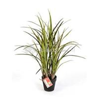 plantenwinkel.nl Kunstplant Natural grass green M