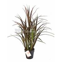 plantenwinkel.nl Kunstplant Natural grass red M