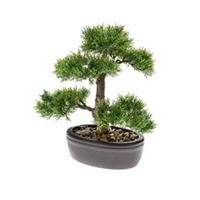 plantenwinkel.nl Kunstplant Bonsai cedar M