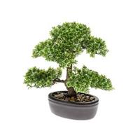 plantenwinkel.nl Kunstplant Bonsai ficus mini M