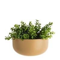 Pt, wand bloempot Oval