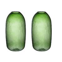 2x Ronde vazen van groen glas 36 cm transparant glas Groen