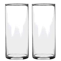 Mica Decorations 2x Glazen cilinder vaas/vazen 19 cm rond Transparant