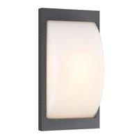 LCD LED buiten wandlamp type 069LED grafiet