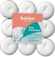 Duftteelichter True Freshness Frische Brise ø 3,8 cm, 18er Pack Teelichter - Bolsius