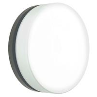 Albert Leuchten LED-Wandleuchte 6309 anthrazit, IP65, Ø 31 cm