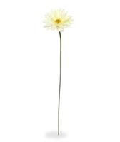 Gerbera kunst steelbloem 60 cm creme