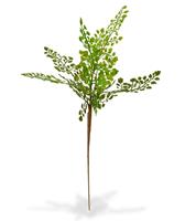 Adiantum kunsttak PL 50 cm