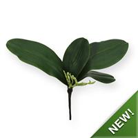 Kunst Orchidee Bladtoef S