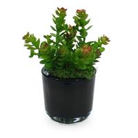 Mini Sedum kunstplant 18cm