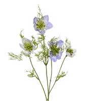 Nigella kunsttak 55 cm blauw