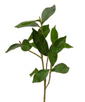 Gardenia Kunstbladtak 60 cm