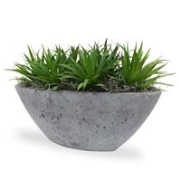 Marginata Mini kunstplant 18cm