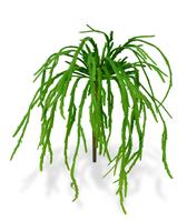 Rhipsalis Lepismium kunstplant 30cm