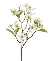Dogwood kunsttak 50 cm creme