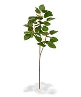 Cercis Canadensis kunsttak 80 cm groen