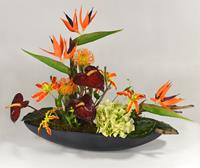 Leucadendron kunsttak 60 cm oranje