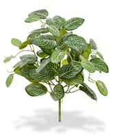 Fittonia kunstplant 40cm - bont