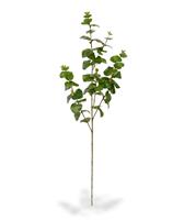 Eucalyptus kunsttak 100 cm