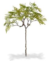Bonsai Varen kunsttak 70 cm