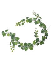 Scindapsus Pictus kunst guirlande 180cm