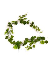 Pothos kunst guirlande 180cm - bont