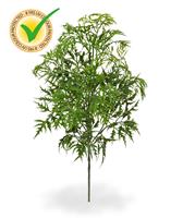 Ming Aralia kunststof tak 50cm - groen - UV bestendig
