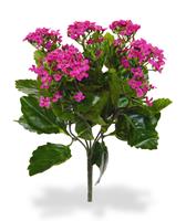 Kalanchoe kunstplant 30cm - paars