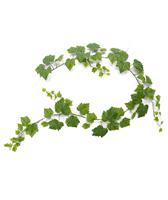 Druivenblad guirlande kunsthanger 180cm - groen