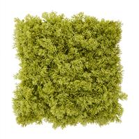 Rendier kunst Mosmat 25x25cm - groen - FR - brandvertragend