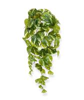 Pothos kunst hangplant 60cm
