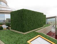 Buxus kunstmatje x300 - UV bestendig